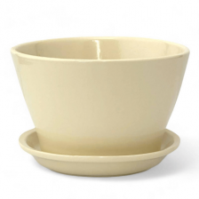 САДЫ АУРИКИ