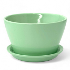 САДЫ АУРИКИ