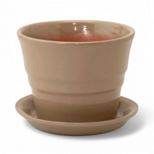 САДЫ АУРИКИ