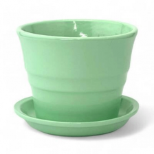 САДЫ АУРИКИ