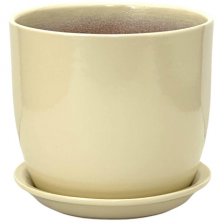 САДЫ АУРИКИ