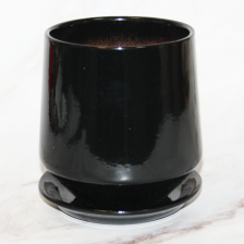 САДЫ АУРИКИ