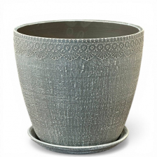 САДЫ АУРИКИ