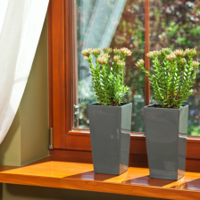 FINEZJA с вкладышем