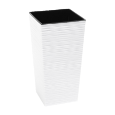 FINEZJA с вкладышем