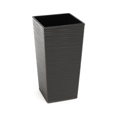 FINEZJA с вкладышем