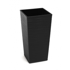 FINEZJA с вкладышем