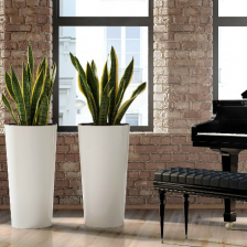 LILIA с вкладышем