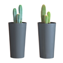 LILIA с вкладышем