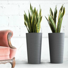 LILIA с вкладышем