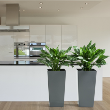 Производство Европа