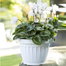 Производство Европа