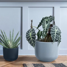 Производство Европа