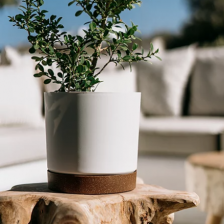 Производство Европа