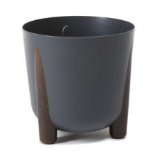 FRIDA на ножках