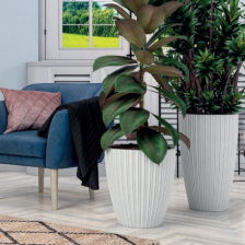 КЕЛИ МИКА/MIKA KELI с вкладышем