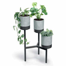 Beton Bowl