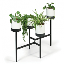 Beton Bowl