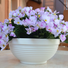 08 Миски