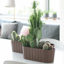 Боарди/Boardee Case