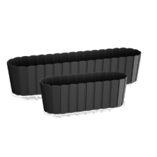 Boardee Case