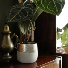 Одиночные горшки