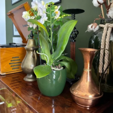 Одиночные горшки