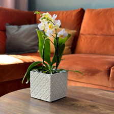 Одиночные горшки