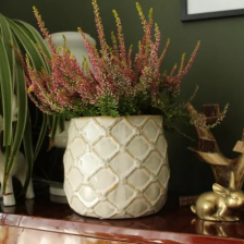 Одиночные горшки